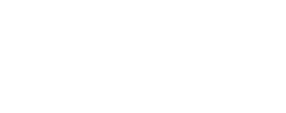 Steve Mich